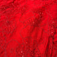 Pure Georgette Cutdana Embroidery